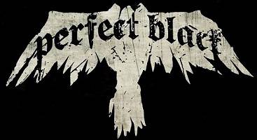 logo Perfect Black